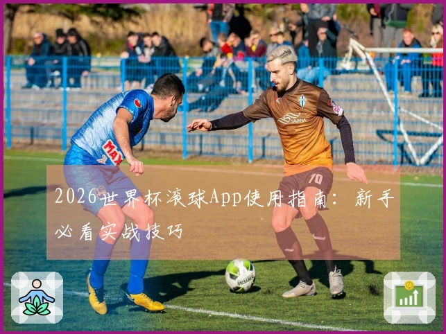2026世界杯滚球App使用指南：新手必看实战技巧