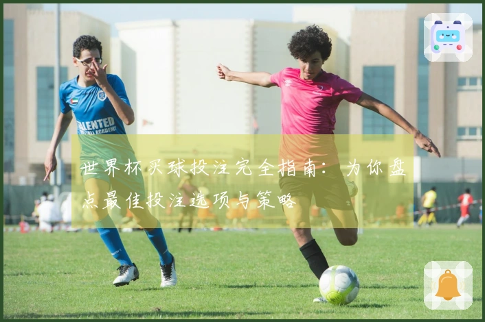 世界杯买球投注完全指南：为你盘点最佳投注选项与策略