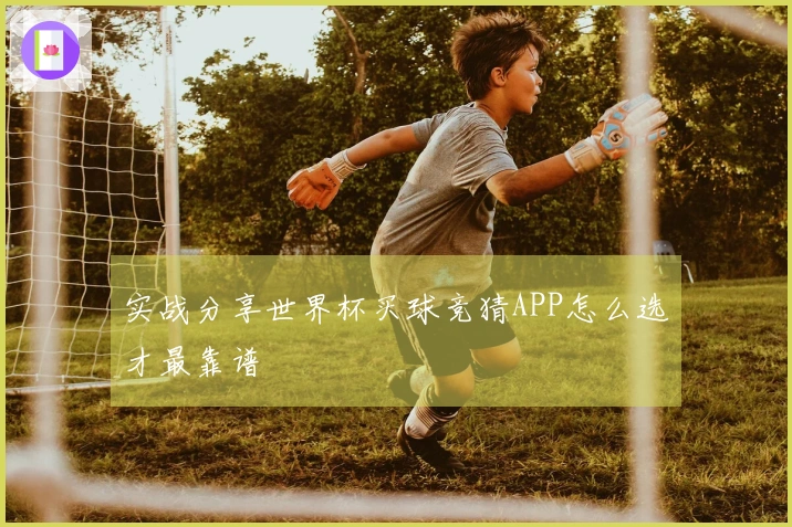 实战分享世界杯买球竞猜APP怎么选才最靠谱