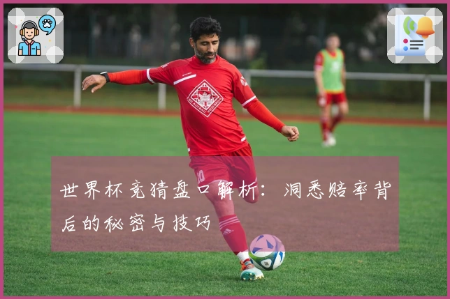 世界杯竞猜盘口解析：洞悉赔率背后的秘密与技巧