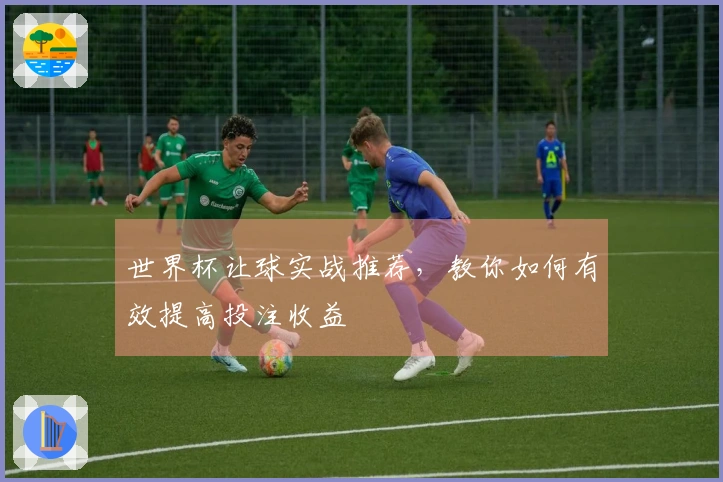 世界杯让球实战推荐，教你如何有效提高投注收益