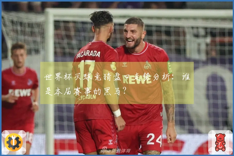 世界杯买球竞猜盘口走势分析：谁是本届赛事的黑马？