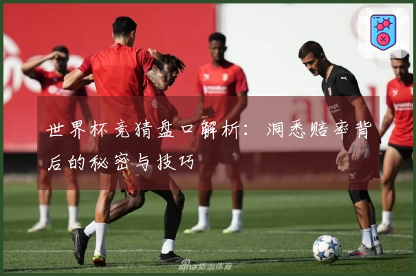 世界杯竞猜盘口解析：洞悉赔率背后的秘密与技巧